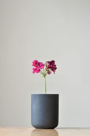 zel-ribeiro-lr5SN8qn3KI-unsplash (1) vsse designer